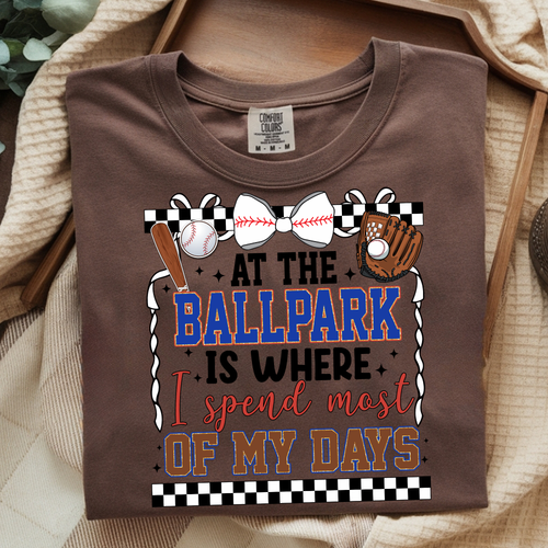 AT THE BALLPARK BASEBALL DTF TRANSFER